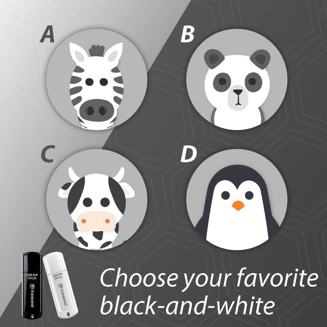 Transcend Jetflash 350 4GB USB Flash Drive (TS4GJF350) - Image 7