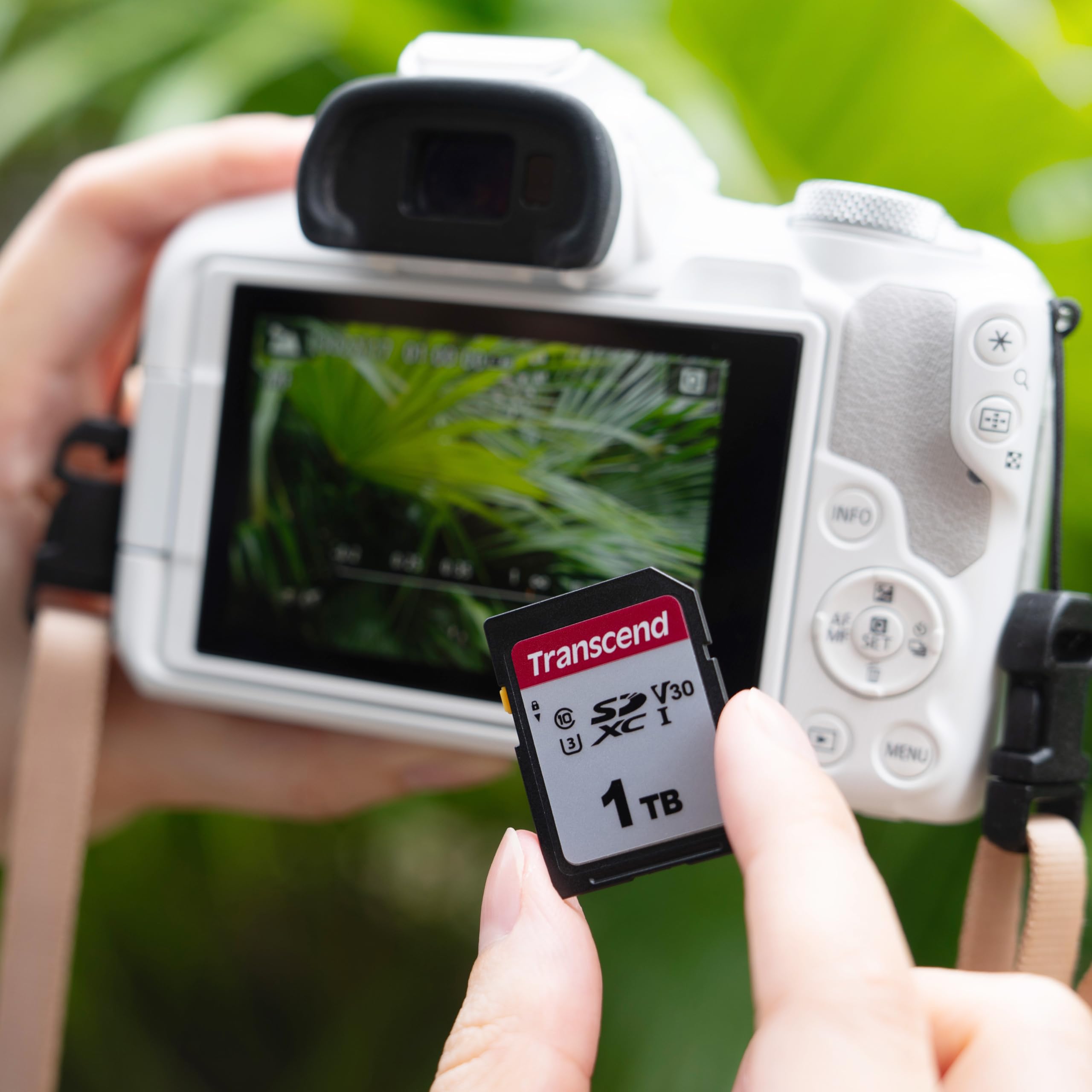 Transcend 16GB SDHC Memory Card, UHS-I U1 C10, Up to 95MB/s, Full HD Video Recording, for Canon, Nikon, Sony, Panasonic DSLR & Mirrorless Cameras, Free Data Recovery Software (TS16GSDC300S-E) - Image 5