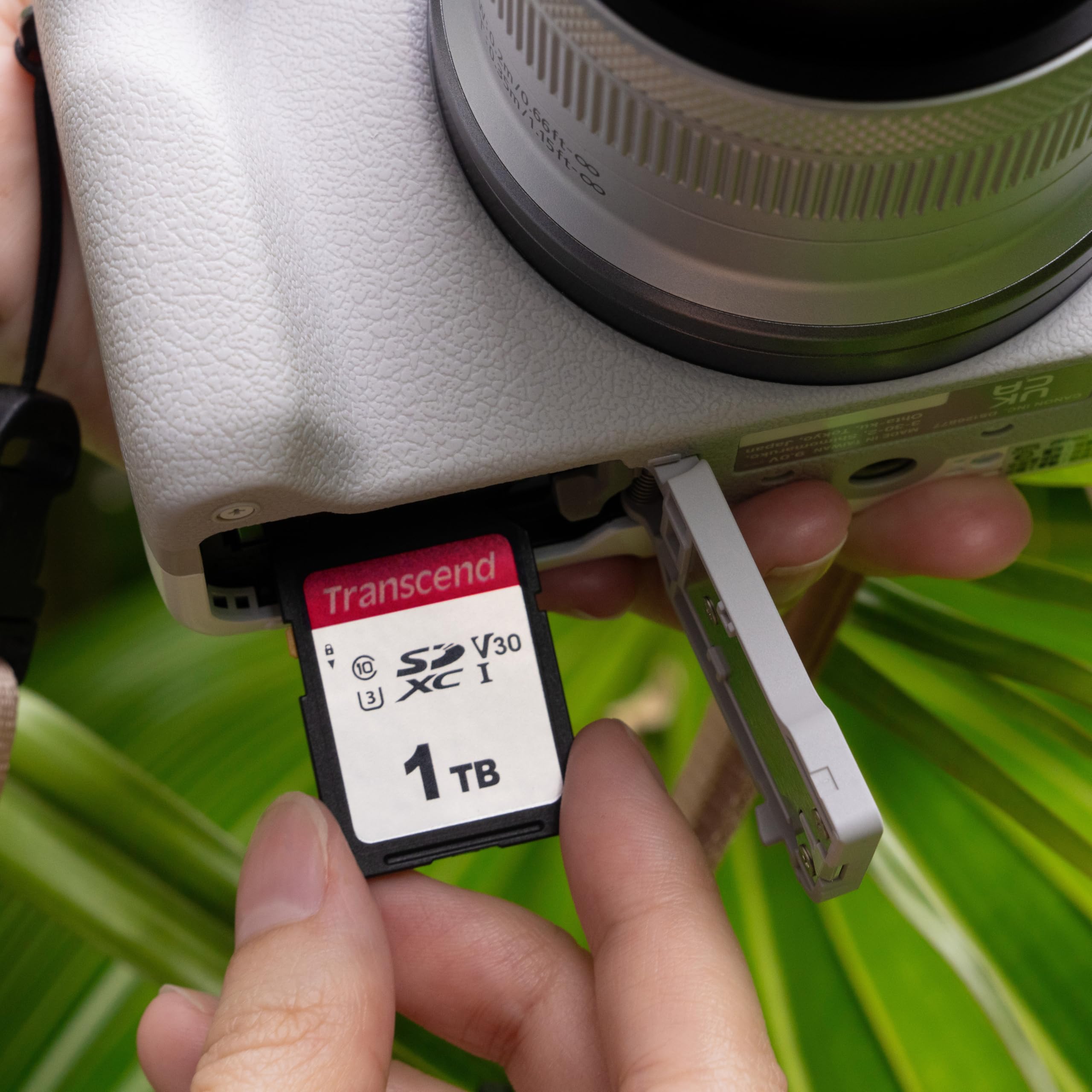 Transcend SDC300S 1TB SDXC SD Card, UHS-I U3 V30, 4K UHD & Full HD for DSLR Cameras/Digital Cameras/Trail Cameras/Camcorder, Up to 100MB/s, Class 10 High-Speed Memory Card - Image 9